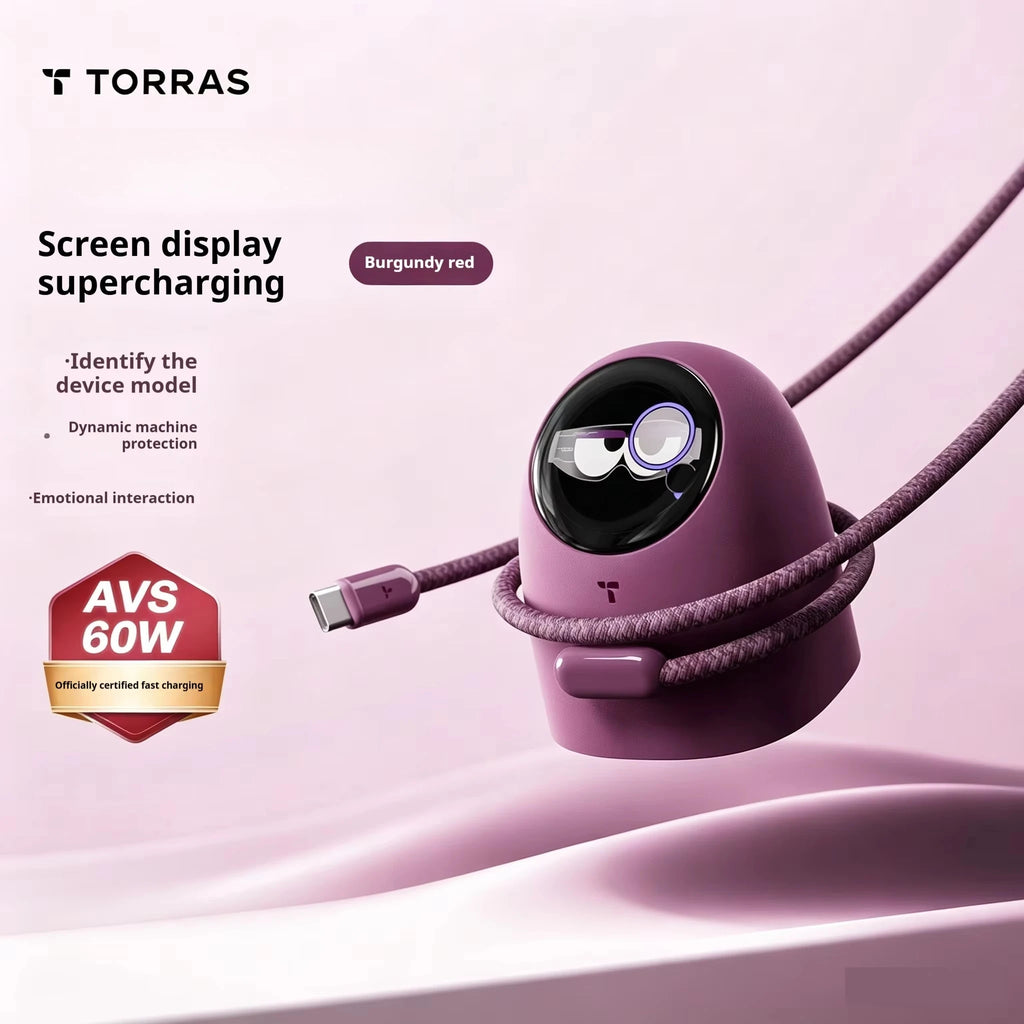 Torras 60W SmartCharge™ USB-C Kit